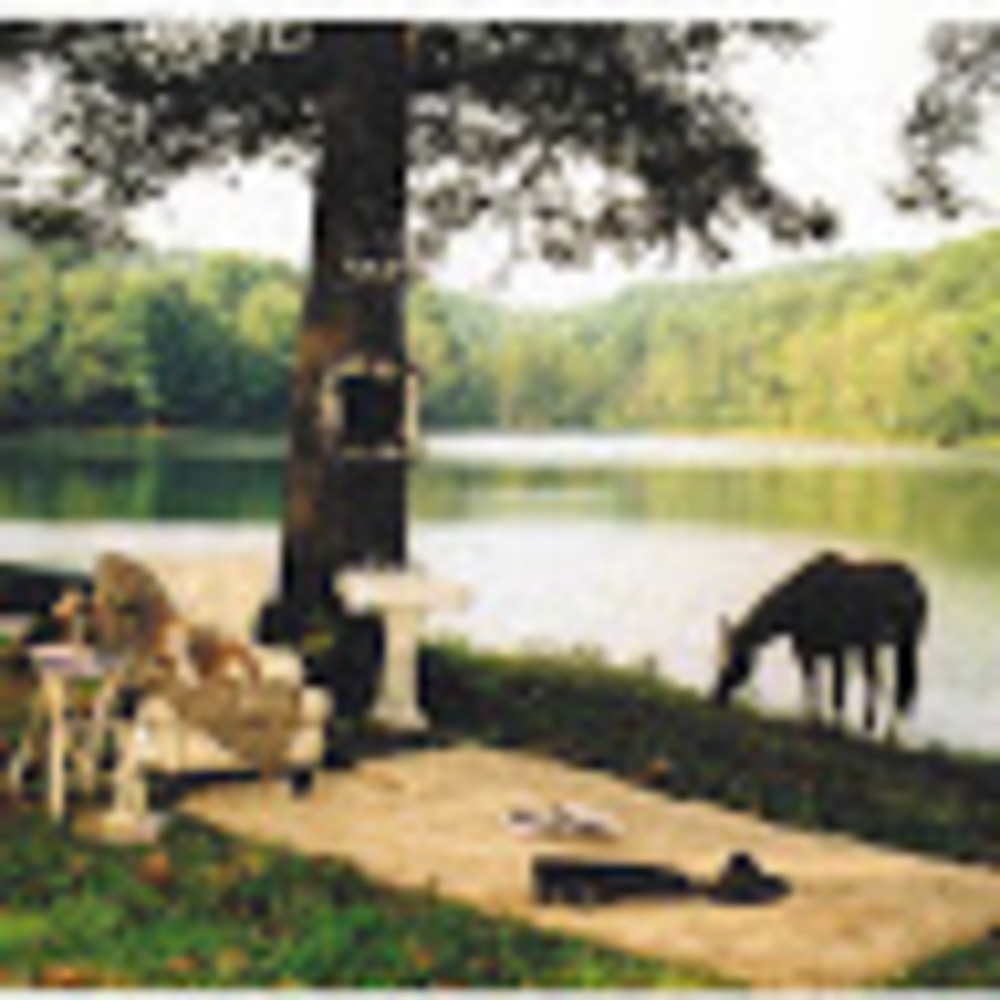 Meet your Posher, Andie